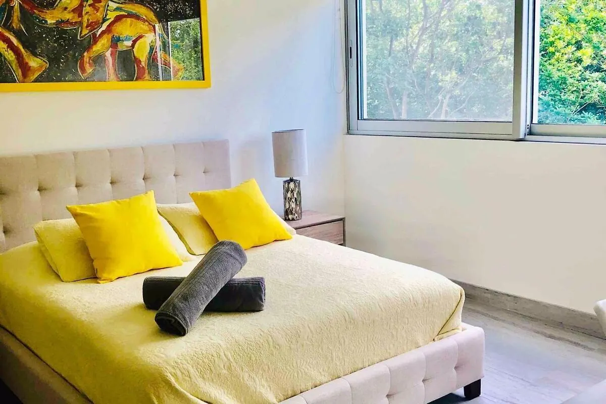 Ocean View Pool In Exclusive Playacar, En-Suite Rooms Playa del Carmen Messico
